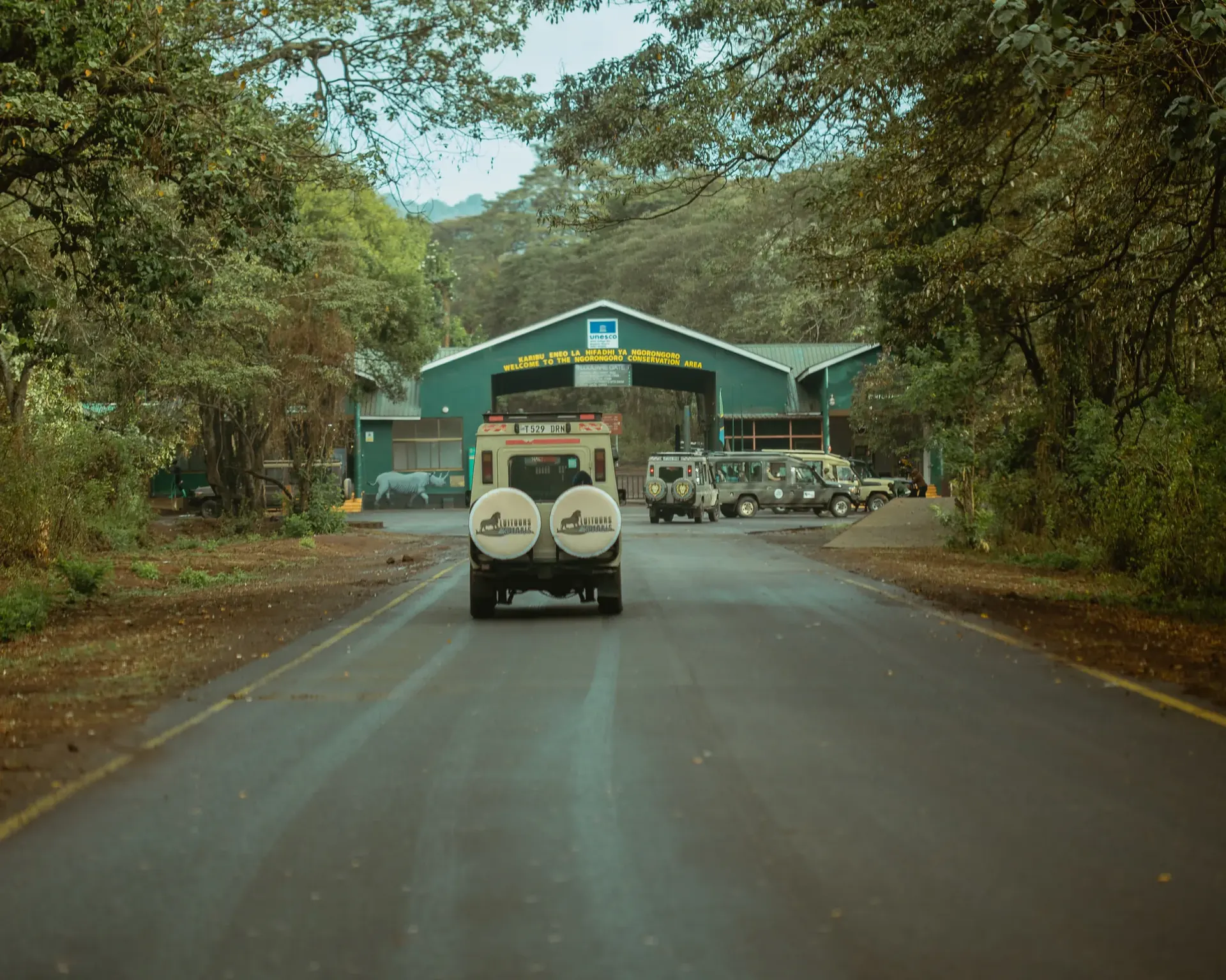 Central Serengeti National Park – Optional Balloon Safari experience